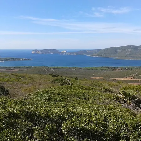 La Tartaruga